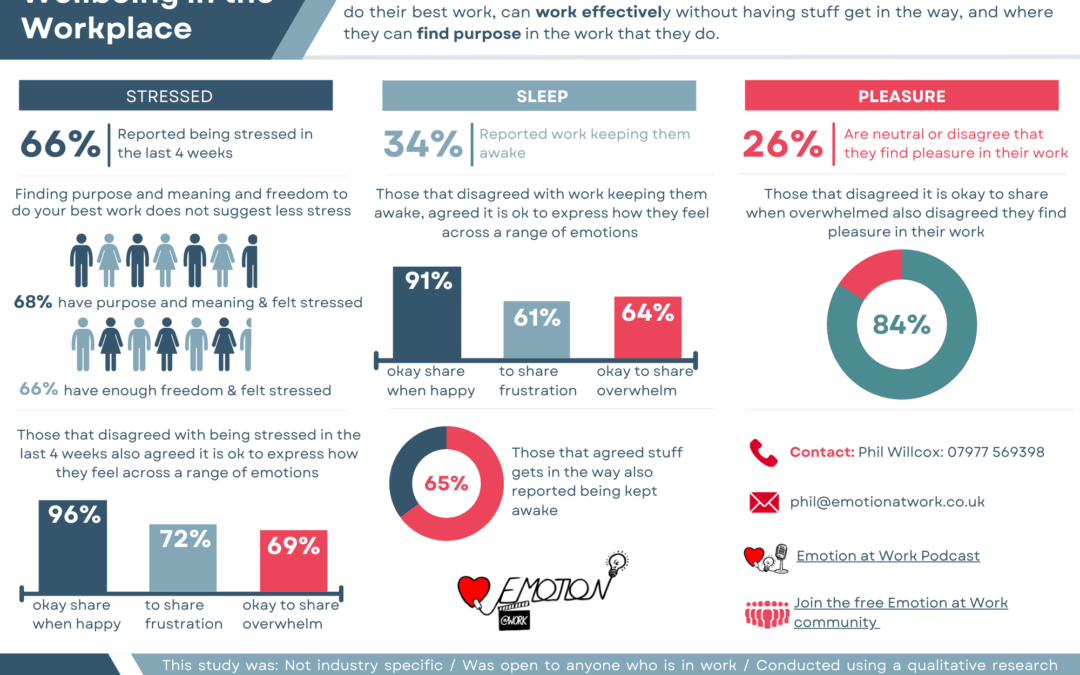 Episode 56 – This is how I am feeling – Emotional Wellbeing in the workplace research